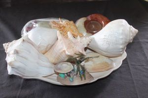 lot 40 image: Large Sea Shells, including a Large Conch Shell and more