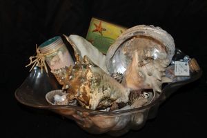 lot 180 image: Large Plastic Shell shaped Bowl with large abalone shell and various natural sea shells, and star fish