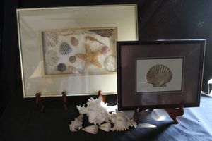 lot 422 image: Seashell Themed Wall Decor