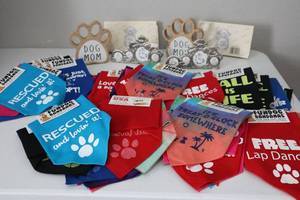 lot 49 image: New Pet- Dog Bandanas and Decor