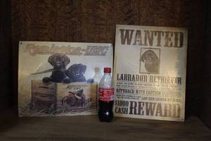 lot 10 image: Metal dog signs (soda for size)
