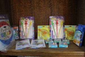 lot 146 image: Out door sunner fun toys and more