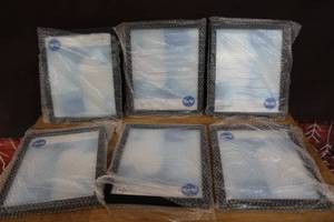lot 256 image: 8x10 frames