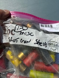 lot 19 image: Shotgun shells x13 misc.