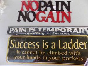 lot 204 image: Signs- NO PAIN,  SUCCESS, PAIN