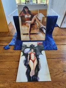 lot 167 image: Megan Fox signed 8x10 and a Vampirella Collector giant Card