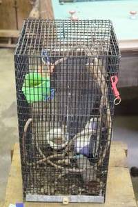 lot 409 image: Bird cage