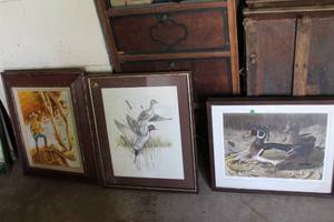 lot 443 image: a set of framed wildlife prints featuring various duck species, commonly found in rustic or hunting-themed home decor