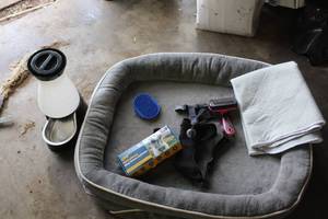 lot 687 image: Dog bed and extras gps wireless dog fence system water harness and more see pictures for details