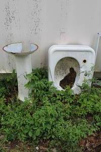 lot 723 image: white vintage pedestal sink