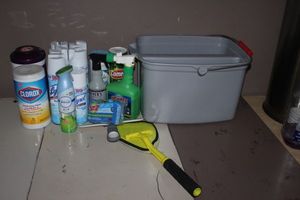 lot 172 image: Cleaning supplies as shown