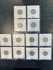 lot 96 image: Buffalo Nickels - Date ranges 1920-29