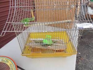 lot 154 image: Bird cage