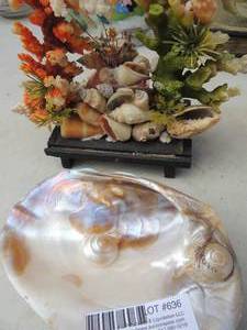 lot 636 image: Seashell sculpture and big shell