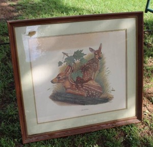 lot 81 image: COMING SOON