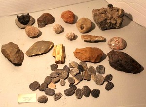lot 157 image: collection of fossils and geological Desert Rose Selenite, see pictures