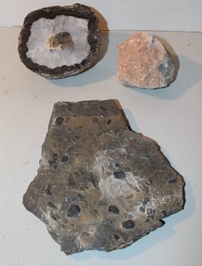 lot 158 image: fossil and rocks