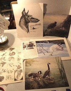lot 174 image: collection of animal-themed artwork prints