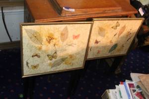 lot 445 image: Modern butterfly and botanical art trays