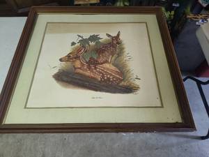 lot 81 image: American Deer (fawn) matted art print signed by E. Williams and is dated 1972