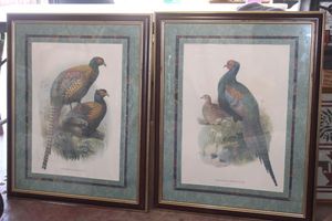 lot 69 image: Two lovey bird prints