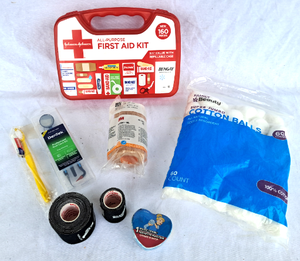 lot 150 image: First aid kit and dental items