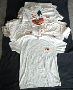 lot 144 image: New casual T-shirts, various sizes, 13 total