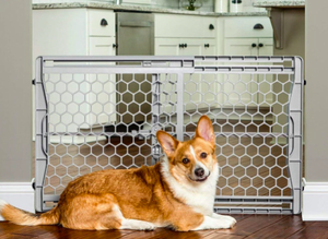 lot 135 image: New Other Carlson 23 Tall Easy Fit Portable Pet Gate, Fits Openings 28-42 Wide - As Shown
