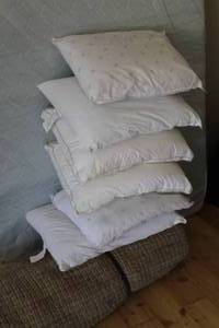 lot 410 image: Pillows