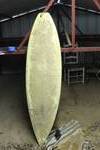 surfboard features a logo for Rachul Glassing