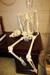 lot 78 image: Skeleton man