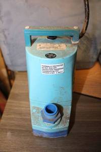 lot 154 image: Little Giant Water Wizard pump