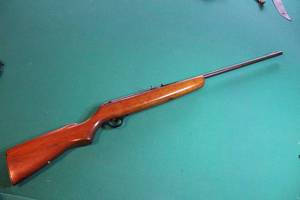 lot 11 image: Marlin 88 22 long rifle