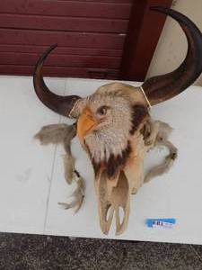 lot 27 image: Large Ceramic decorative bull skull and bald eagle head