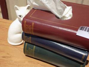 lot 203 image: Book box and white cat