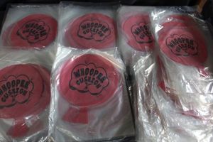 lot 59 image: Bulk lot of Whoopi cushions