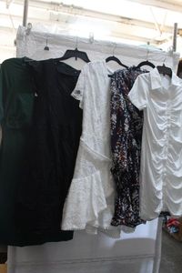 lot 251 image: Womens Dresses New Merchandise