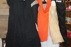 lot 250 image: Womens Dresses New Merchandise&nbsp