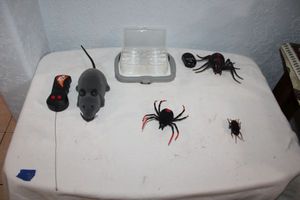 lot 78 image: Remote and battery operated critters and magnifying glasses set