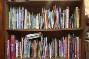 lot 124 image: 2 shelfs of childrens books