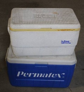 lot 262 image: 2- Coolers