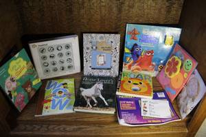 lot 287 image: Kids books and a flash pad and more see pictures