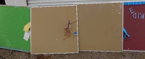 lot 154 image: Cork boards 4x4  you get 4 total