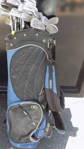 lot 272 image: golf clubs with  several Irons
