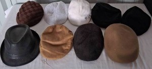 lot 113 image: Selection of Newsboy Hats--See pics for details