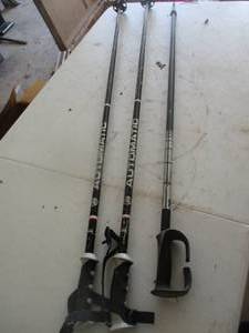 lot 229 image: 3 Ski Poles - two matching (GAR)
