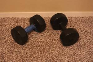 lot 307 image: Weights 10lb each (up)