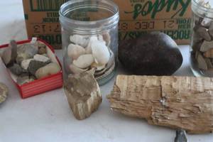 lot 344 image: Shell and Rock Collection (GAR)
