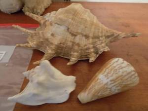 lot 44 image: ALL ITEMS SOLD AS IS...