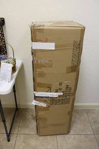 lot 11 image: Christmas tree (box says 9x40 Augustine)